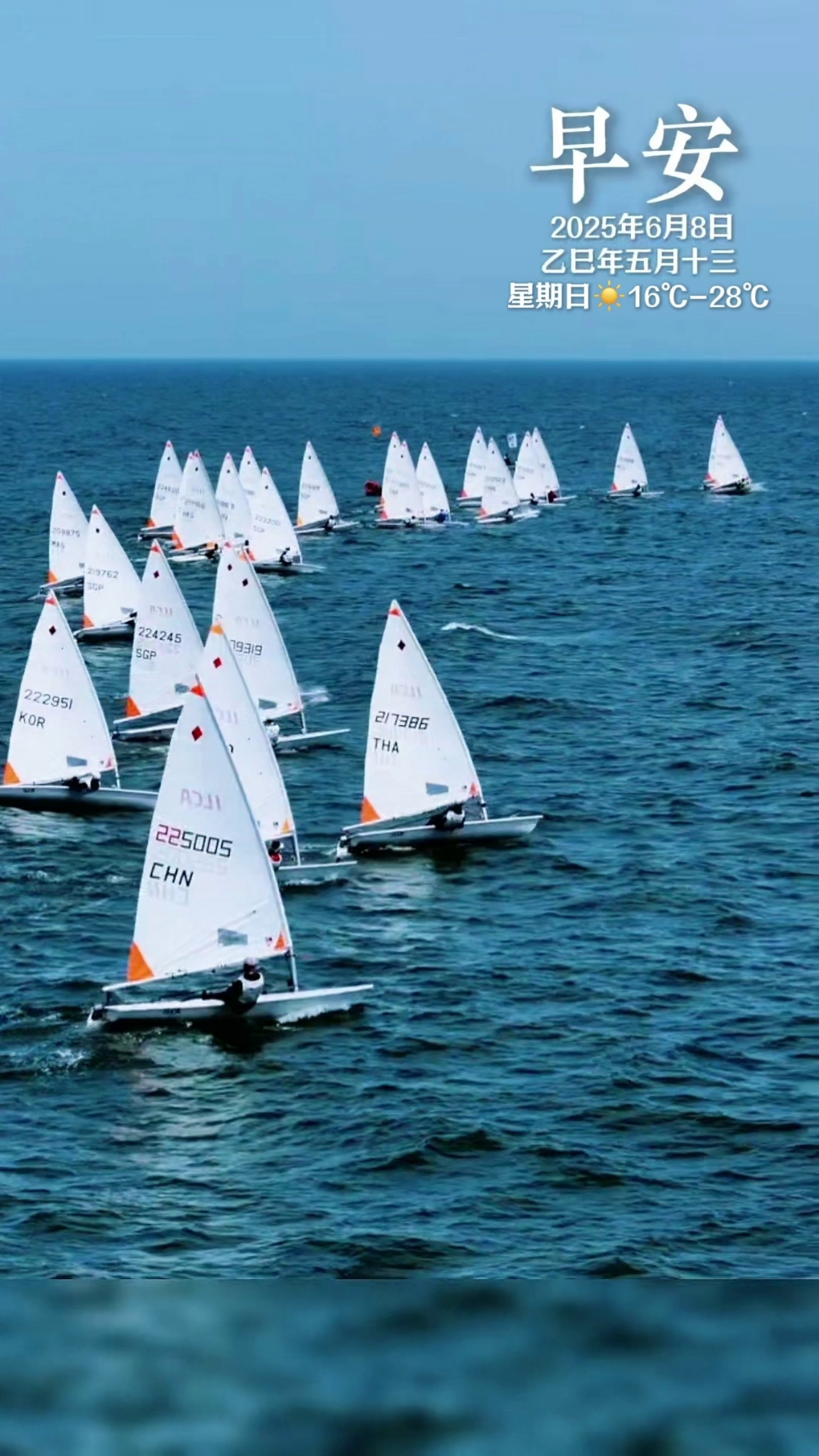 Sailing (sailing competition)